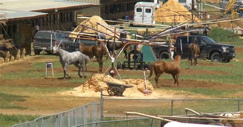 3 horses injured, euthanized at Wyoming horse race